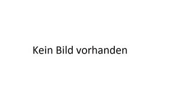 2. Vorstand - Ralf Weiß